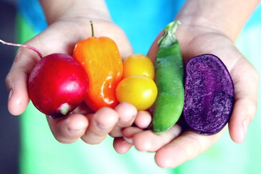 Importance of Eating Healthy Food