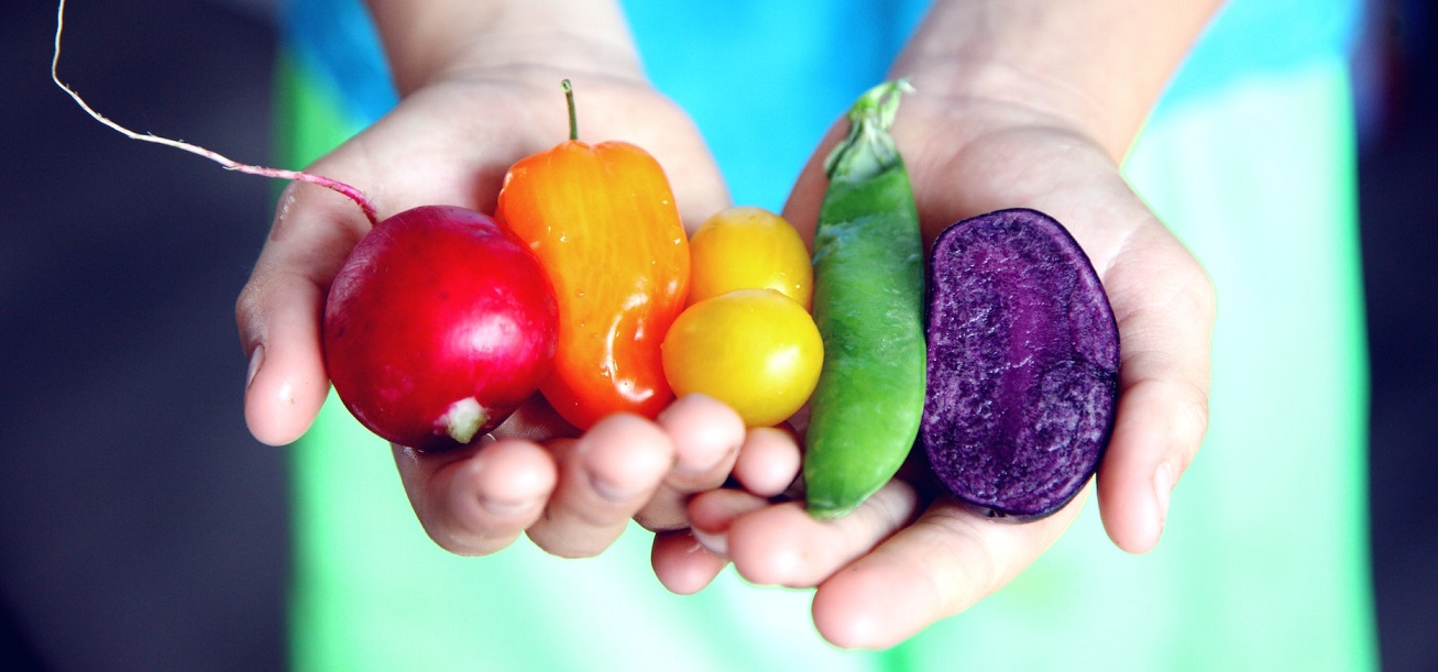 Importance of Eating Healthy Food