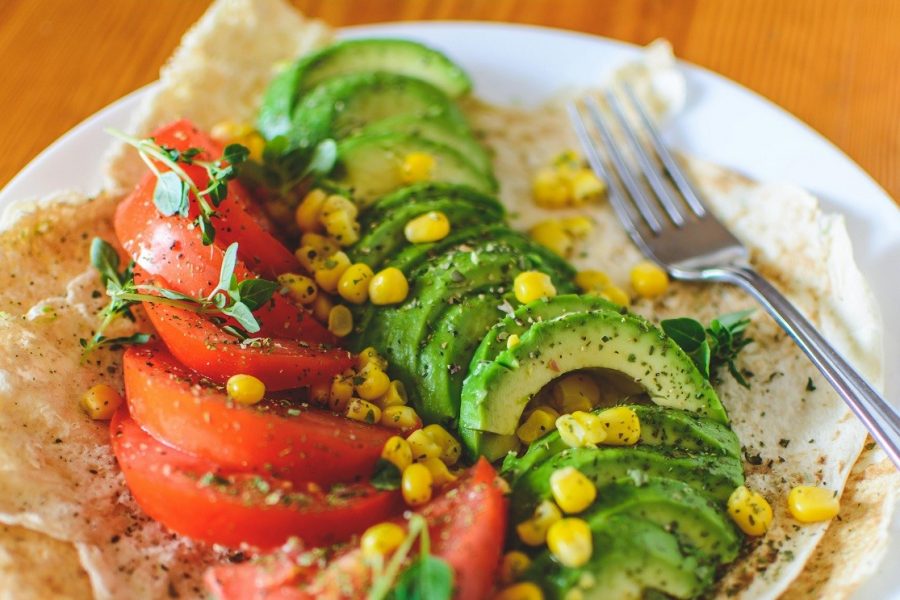 Delicious Plant Based Protein Recipes